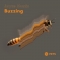Joyce Muniz – Buzzing EP (Pets)