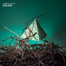 00-va-fabriclive_58_(mixed_by_goldie)-(fabric116)-cd-2011-cover