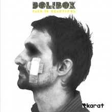 Dolibox-Fake_Is_Beautilful-(KARATCD06)-WEB-2011-E