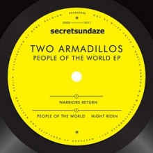 Two Armadillos