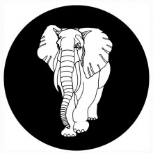 White_Elephant-Sir_John-(REDUX014D)-WEB-2011-320