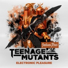 Teenage-Mutants-–-Electronic-Pleasure