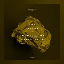 Dub-Taylor-–-Reflection