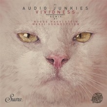 Audio-Junkies-Haptic-–-Vividness