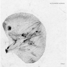 Alessandro Adriani - Embryo (Stroboscopic Artefacts)