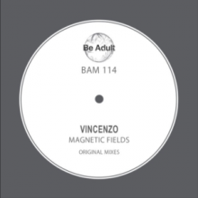 Vincenzo - Magentic Fields (Be Adult Music)