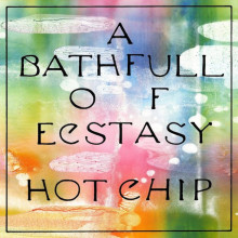 Hot Chip - A Bath Full of Ecstasy (Domino)