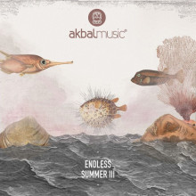 VA - Endless Summer, Vol. 3 (Akbal Music)