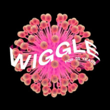 VA - Wiggle for 25 Years (Wiggle)