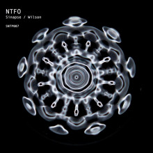 NTFO - Sinapse / Wilson (Sintope Digital)