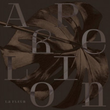 La Fleur - Aphelion EP - Remixes (Power Plant Records)