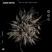 Adam Beyer - What You Need (Kölsch Remix) (Drumcode)