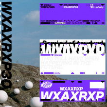 VA - WXAXRXP Sessions (Warp)
