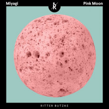 Miyagi - Pink Moon (Ritter Butzke Studio)