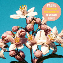 Padre - Flower And Willow World (Of Norway Version) (Connaisseur)