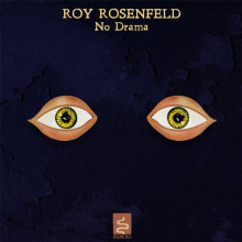 Roy Rosenfeld - No Drama (Rumors)