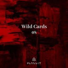 VA - Wild Cards 08 (Pursuit)
