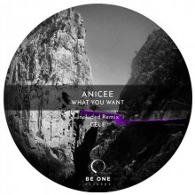 Anicée - What You Want (Be One)