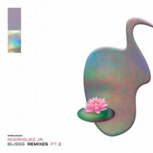 Rodriguez Jr. - Blisss Remixes Pt. 2 (Mobilee)