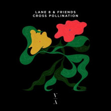 Lane 8 - Cross Pollination (This Never Happened)