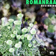 Romanraa - Beginning EP (TRAUMV2445)