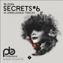 Various - Secrets#6 (Plattenbank)