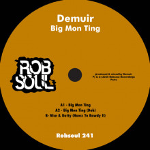 Demuir - Big Mon Ting (Robsoul)