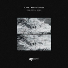 T-Dok - Raw Thoughts EP (Devotion)