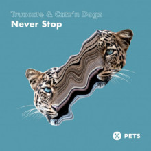 Catz ‘n Dogz & Truncate - Never Stop (Pets)