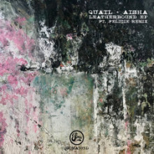 Quail & Aisha (sco) - Leatherbound EP (Soma)