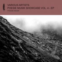 VA - Poesie Musik Showcase, Vol. 4  (Poesie Musik)