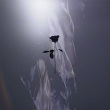 Malandra Jr. - Flames EP (Black Rose)
