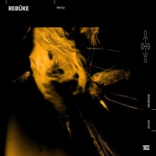 Rebūke - Wasp (Drumcode)