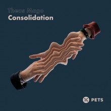 Theus Mago - Consolidation (Pets)