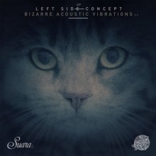 Left Side Concept - Bizarre Acoustic Vibrations EP (Suara)