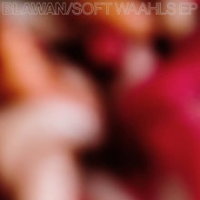 Blawan - Soft Waahls (Ternesc)