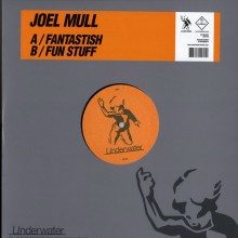 Joel Mull - Fantastish / Fun Stuff (Underwater)