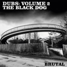 The Black Dog - Dubs: Volume 2 (Dust Science)