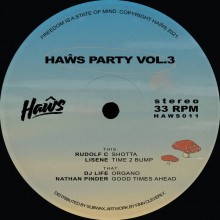 VA - Haŵs Party Vol. 3 (Haŵs)