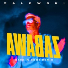 Krzysztof Zalewski - Zabawa  (Catz ‘n Dogz Remix) (Kayax Production & Publishing)