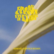 Rhode & Brown & Indra Dunis - Everything In Motion (Kornél Kovács Remix) (Permanent Vacation)     
