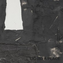 Ron Trent / Gaika - Liquid A Place (Pace)