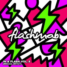 VA - In A Flash, Vol. 5 (Flashmob)