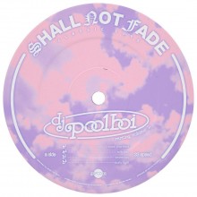 dj poolboi - rarities vol.2 (Shall Not Fade)