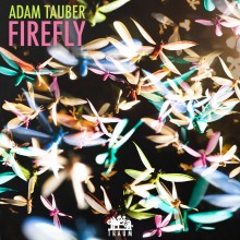 Adam Tauber - Firefly (Traum)