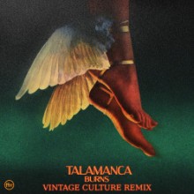 Burns - Talamanca (Vintage Culture Remix) (FFRR)