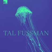 Tal Fussman - Underneath The Surface (Stil Vor Talent)