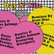 Dantiez & André Salmon & Kwedjatey - Day N' Nite (Good For You)