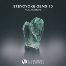 VA - Steyoyoke Gems Nocturnal 10 (Steyoyoke)