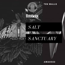Ten Walls - Salt Sanctuary (Arawak Records)